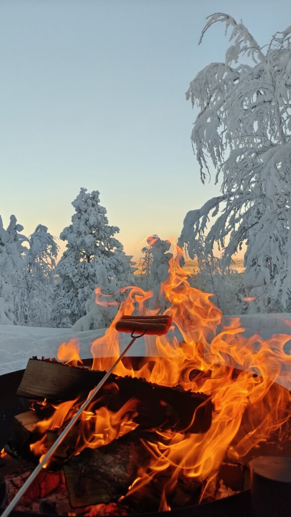 winter in lapland, winter wonderland, snowy trees of lapland